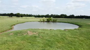 Pilot Point, TX 76258