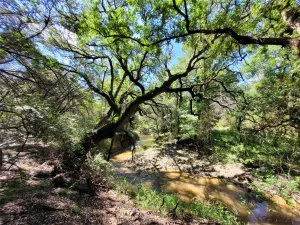 Lampasas, TX 76550