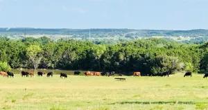 Walnut Springs, TX 76690
