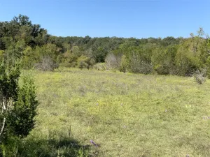 Carlton, TX 76436