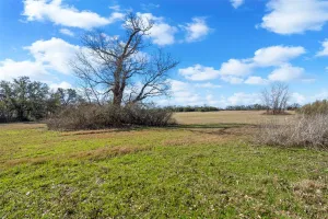 Granbury, TX 76049