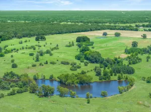 Edgewood, TX 75117