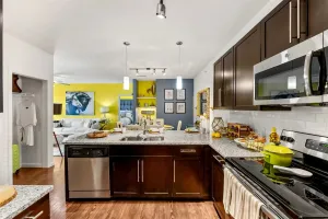 Cedar Park, TX 78613