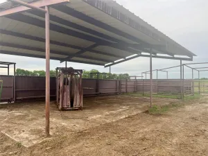 Lake Creek, TX 75450