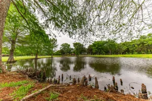 Wills Point, TX 75169