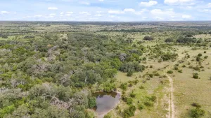 Hamilton, TX 76531