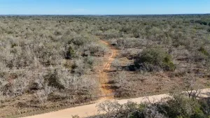 Gonzales, TX 78632