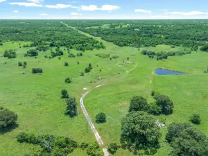Edgewood, TX 75117