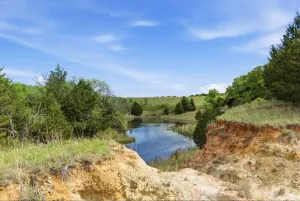 Forestburg, TX 76239