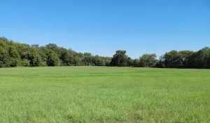 Northlake, TX 76247