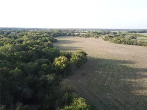 Mexia, TX 76667