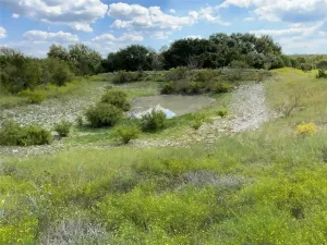 Carlton, TX 76436