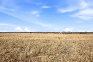 Josephine, TX 75189