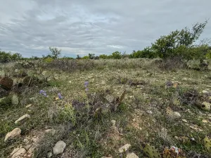 Voss, TX 76888