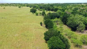 Frost, TX 76641