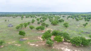 Ovalo, TX 79541