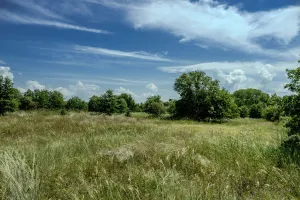 Henrietta, TX 76230