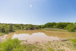 Coleman, TX 76834