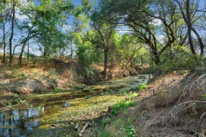 Dublin, TX 76446