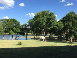 Lampasas, TX 76550