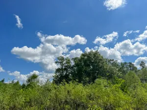 Cleveland, TX 77327