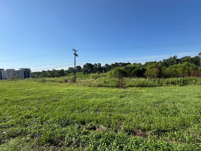 Palestine, TX 75801