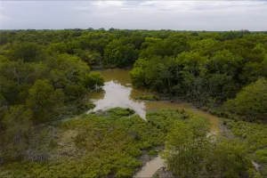Wills Point, TX 75169