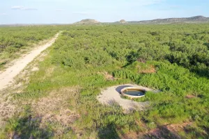 Robert Lee, TX 76945