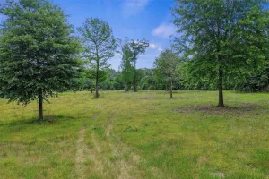 Carthage, TX 75633