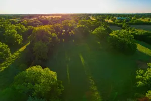 Dodd City, TX 75438