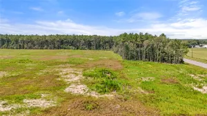 Sour Lake, TX 77659
