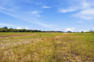 Greenville, TX 75402