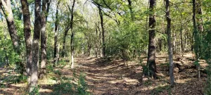 Fort Worth, TX 76120