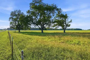 Denison, TX 75021