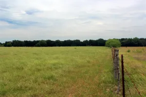 Frost, TX 76641