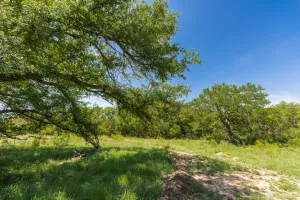 Coleman, TX 76834