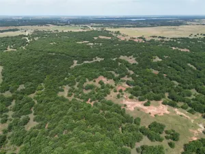 Nocona, TX 76255