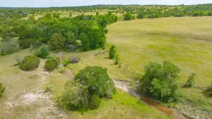 Carlton, TX 76436