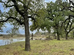 Hico, TX 76457