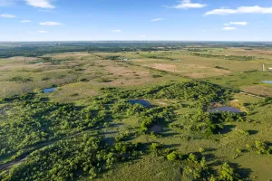 Montague, TX 76261