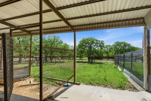 Forestburg, TX 76239